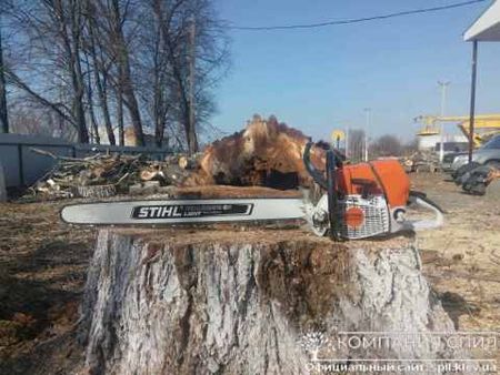 Удаление деревьев Киев
